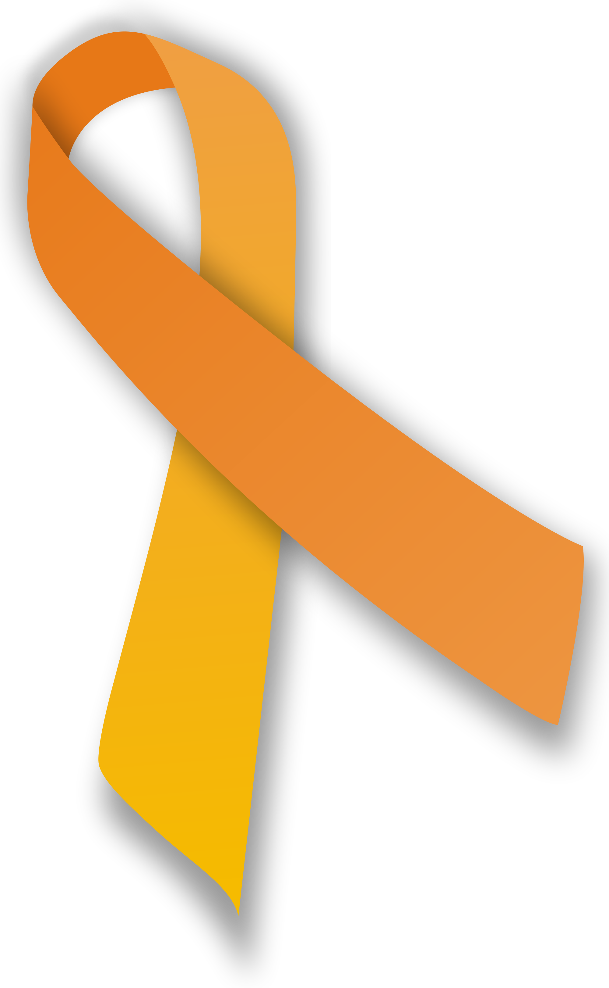 Resultat d'imatges de orange ribbon