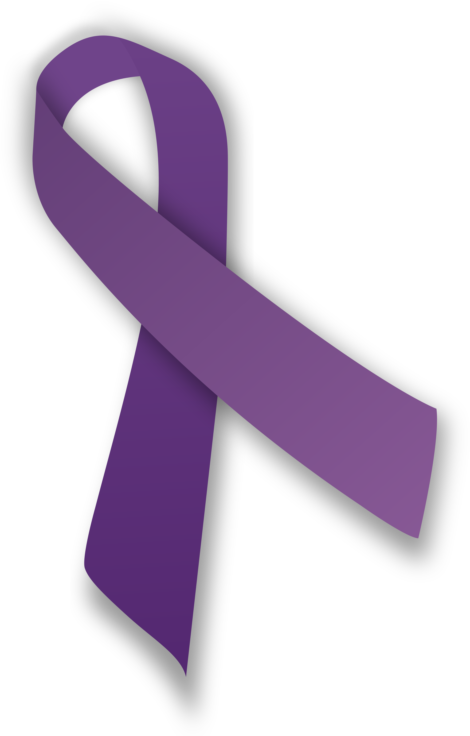 Resultat d'imatges de violet ribbon