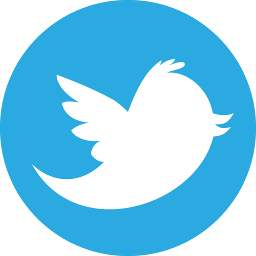 Resultat d'imatges de twitter logo